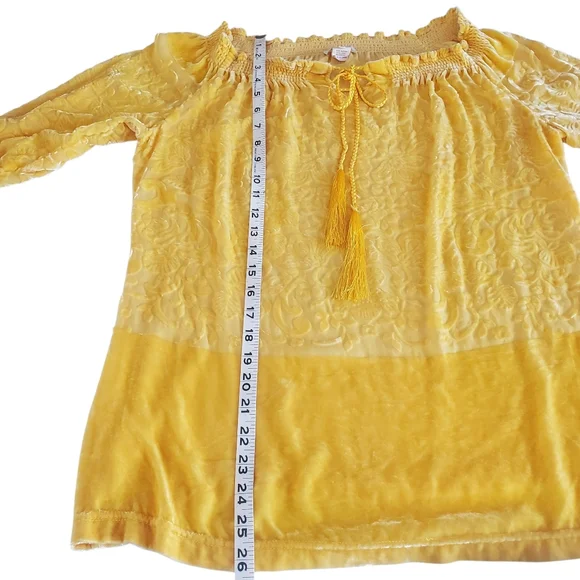 SUNDANCE Gold Floral Velvet/Silk Blend Burnout Ruffle Notch Neck Tunic Women's S - Picture 9 of 11